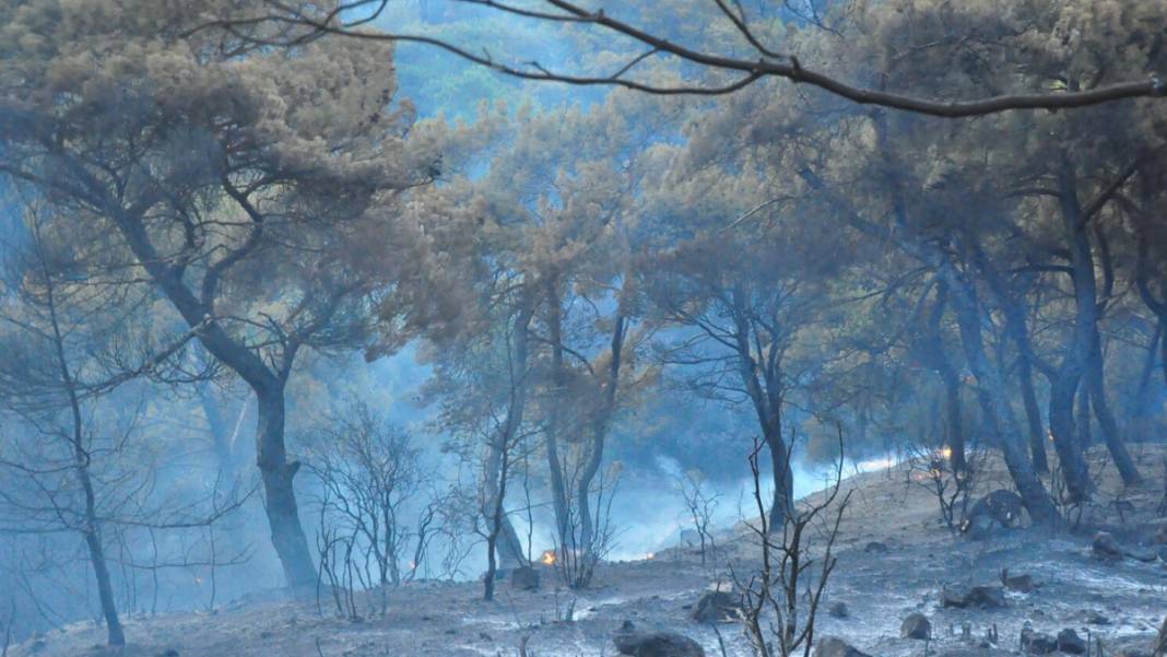 Kabus 23 saat sürmüştü: Sabotaj şüphesini 'Tarzan' çözecek 8